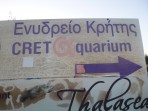 Cretaquarium (akwarium morskie) - wyspa Kreta zdjęcie 3