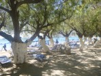 Plaża Plakias - wyspa Kreta zdjęcie 10