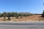 Gournes - wyspa Kreta zdjęcie 21