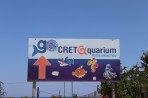 Cretaquarium (akwarium morskie) - wyspa Kreta zdjęcie 1