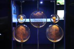 Cretaquarium (akwarium morskie) - wyspa Kreta zdjęcie 9