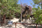 Dinosauria Park - wyspa Kreta zdjęcie 31