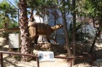 Dinosauria Park - wyspa Kreta zdjęcie 35