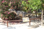 Dinosauria Park - wyspa Kreta zdjęcie 38