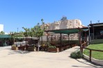 Dinosauria Park - wyspa Kreta zdjęcie 43