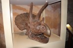 Dinosauria Park - wyspa Kreta zdjęcie 3