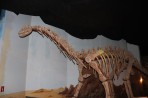 Dinosauria Park - wyspa Kreta zdjęcie 5