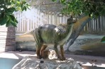 Dinosauria Park - wyspa Kreta zdjęcie 7