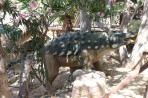 Dinosauria Park - wyspa Kreta zdjęcie 11