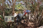 Dinosauria Park - wyspa Kreta zdjęcie 15