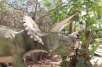 Dinosauria Park - wyspa Kreta zdjęcie 22