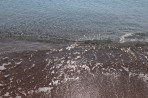 Plaża Afandou - wyspa Rodos zdjęcie 9