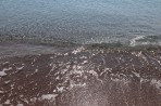 Plaża Afandou - wyspa Rodos zdjęcie 9