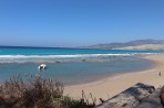 Plaża Apolakkia (Limni) - wyspa Rodos zdjęcie 9
