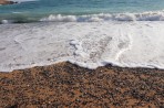 Plaża Fourni - wyspa Rodos zdjęcie 15