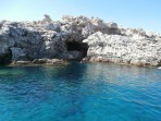 Przyroda na wyspie Rodos zdjęcie 4