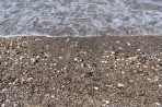 Plaża Kopria - wyspa Rodos zdjęcie 9