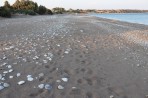 Plaża Lachania - wyspa Rodos zdjęcie 5