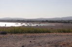 Plaża Plimiri - wyspa Rodos zdjęcie 20