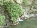 Dolina Motyli (Petaloudes) - wyspa Rodos zdjęcie 17