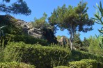 Przyroda na wyspie Rodos zdjęcie 3