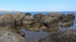 Plaża Kathara - wyspa Rodos zdjęcie 9