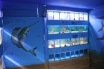 Akwarium Faliraki - wyspa Rodos zdjęcie 18