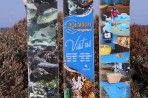 Akwarium Rodos - wyspa Rodos zdjęcie 8