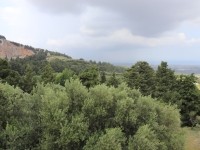 Przyroda