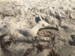 Plaża Marmari - Wyspa Kos zdjęcie 21