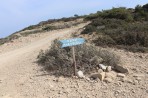 Plaża Cavo Paradiso - Wyspa Kos zdjęcie 1