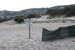 Plaża Exotic - Wyspa Kos zdjęcie 3