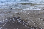 Plaża Chryssi Akti (Golden Shore) - Wyspa Kos zdjęcie 6