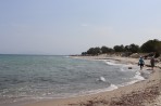 Plaża Marmari - Wyspa Kos zdjęcie 14