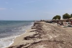 Plaża Mastichari - Wyspa Kos zdjęcie 7