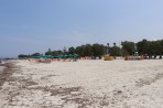 Plaża Mastichari - Wyspa Kos zdjęcie 17