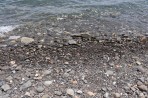 Plaża Thermes - Wyspa Kos zdjęcie 8
