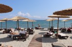 Plaża Turtle - Wyspa Kos zdjęcie 16