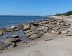 Plaża Kardamena - Wyspa Kos zdjęcie 27