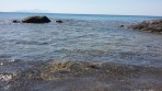 Plaża Camel - Wyspa Kos zdjęcie 3