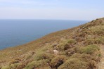 Agios Fokas - wyspa Kos zdjęcie 3