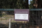 Stolica Kos - wyspa Kos zdjęcie 14