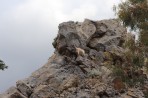 Góry Dikeos - wyspa Kos zdjęcie 8