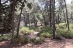Leśny park zwierząt Plaka - wyspa Kos zdjęcie 17