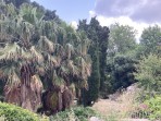 Agora (stanowisko archeologiczne) - wyspa Kos zdjęcie 9