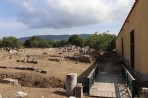 Casa Romana - wyspa Kos zdjęcie 6