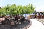 Plaża Agios Fokas - Wyspa Kos zdjęcie 32